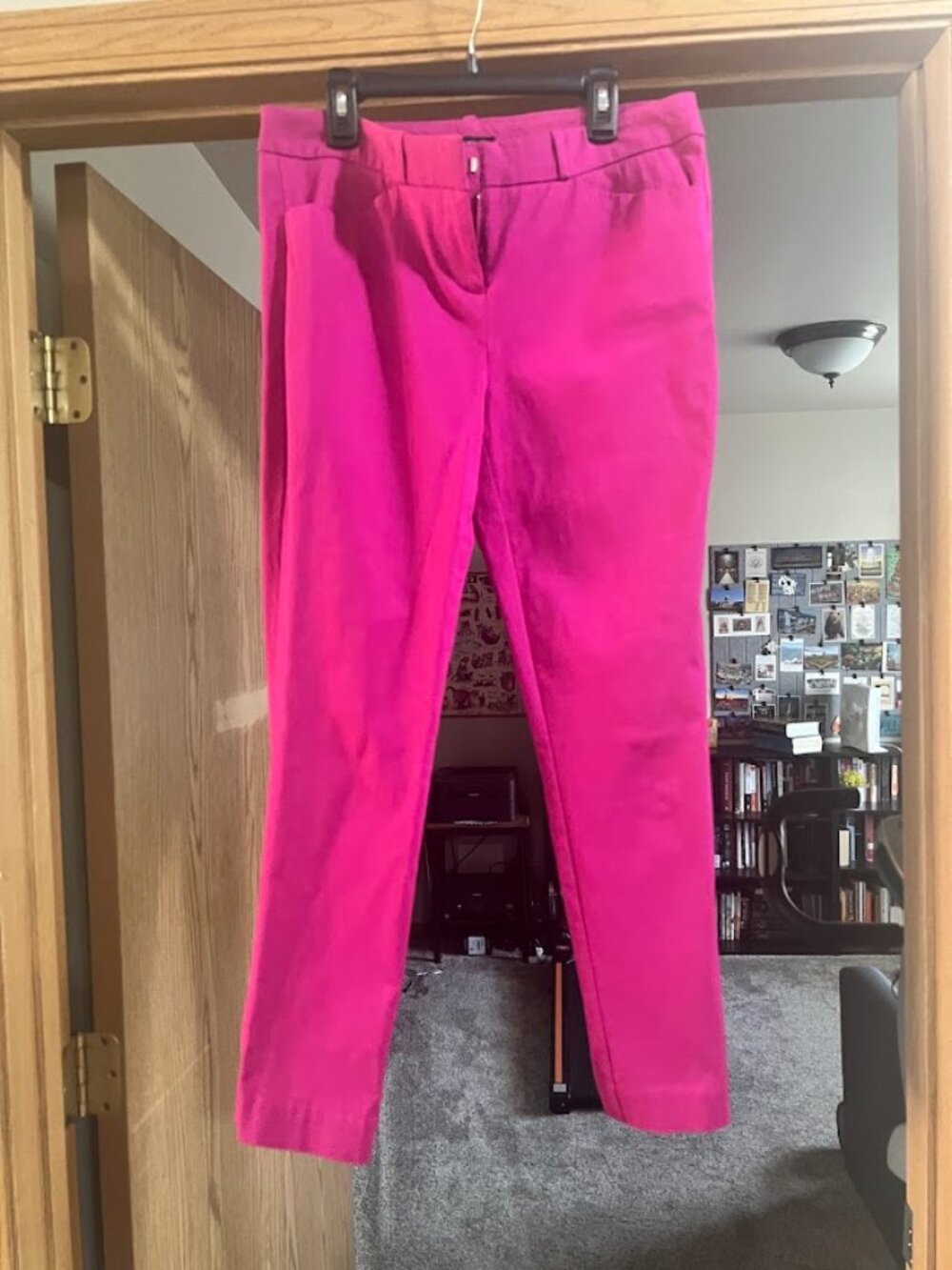 Pink Dress Capri/Ankle Pants Size 4 Worthington